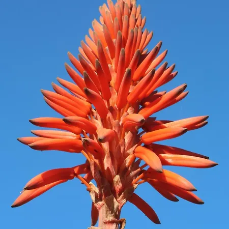 דירה Fuengirola, Torreblanca Sea Views *