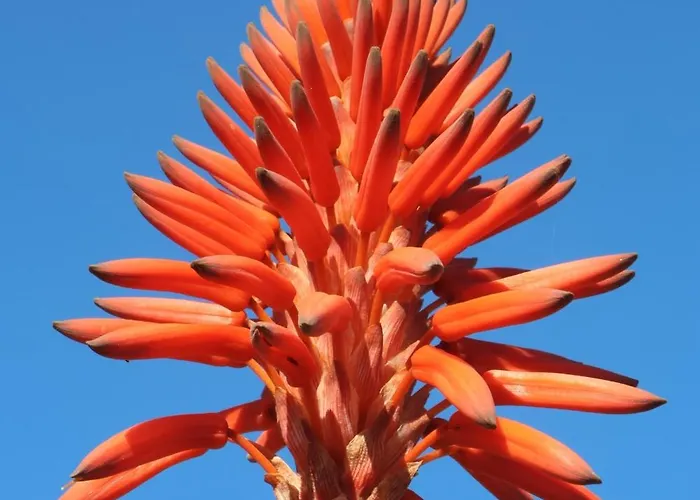 Apartment Fuengirola, Torreblanca Sea Views *